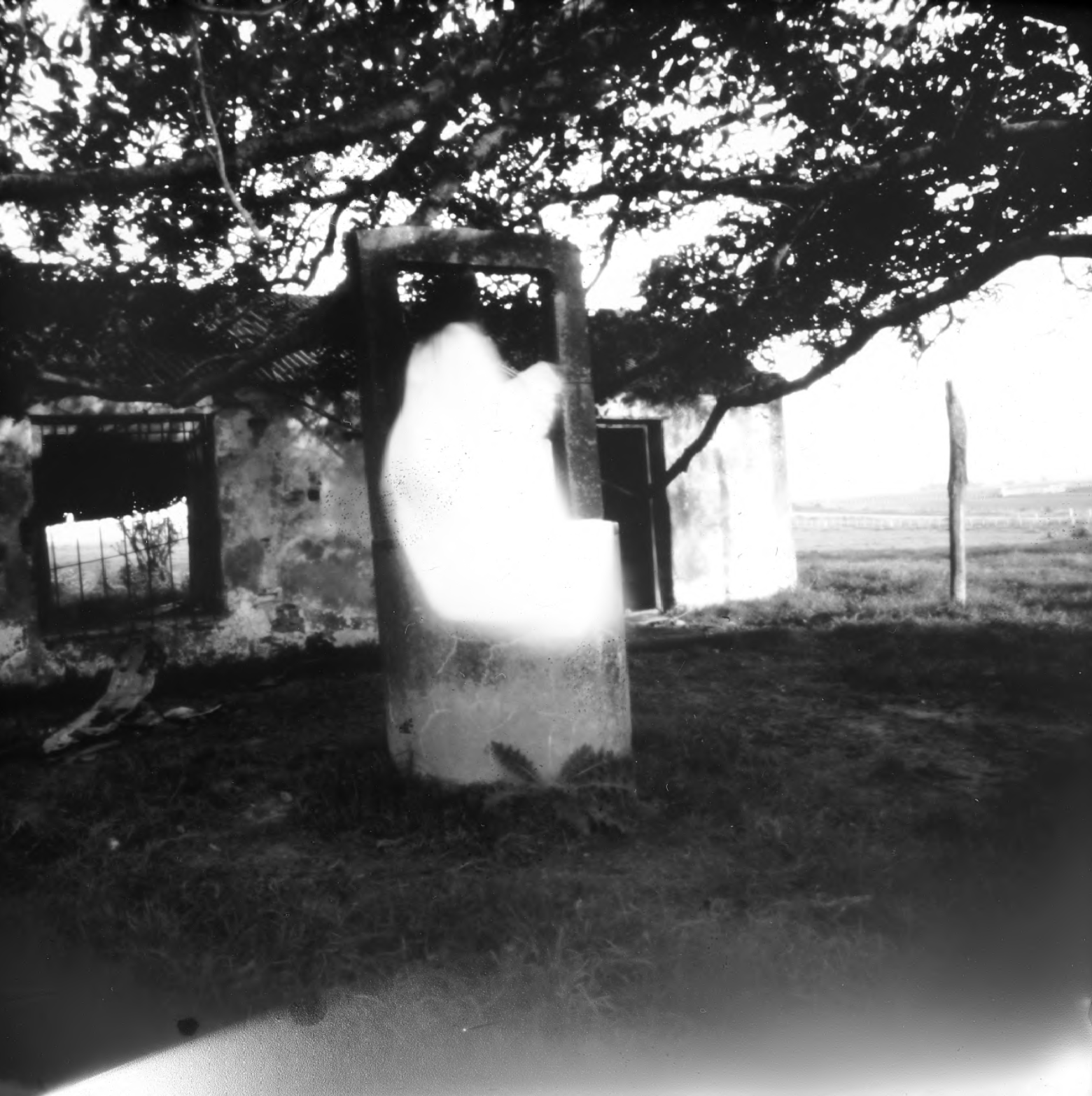 sin título de Francisca Etchegaray. Sín Título, Serie Origen, 2021
Técnica estenopéica fotografía analógica, tamaño original 10x10 cm