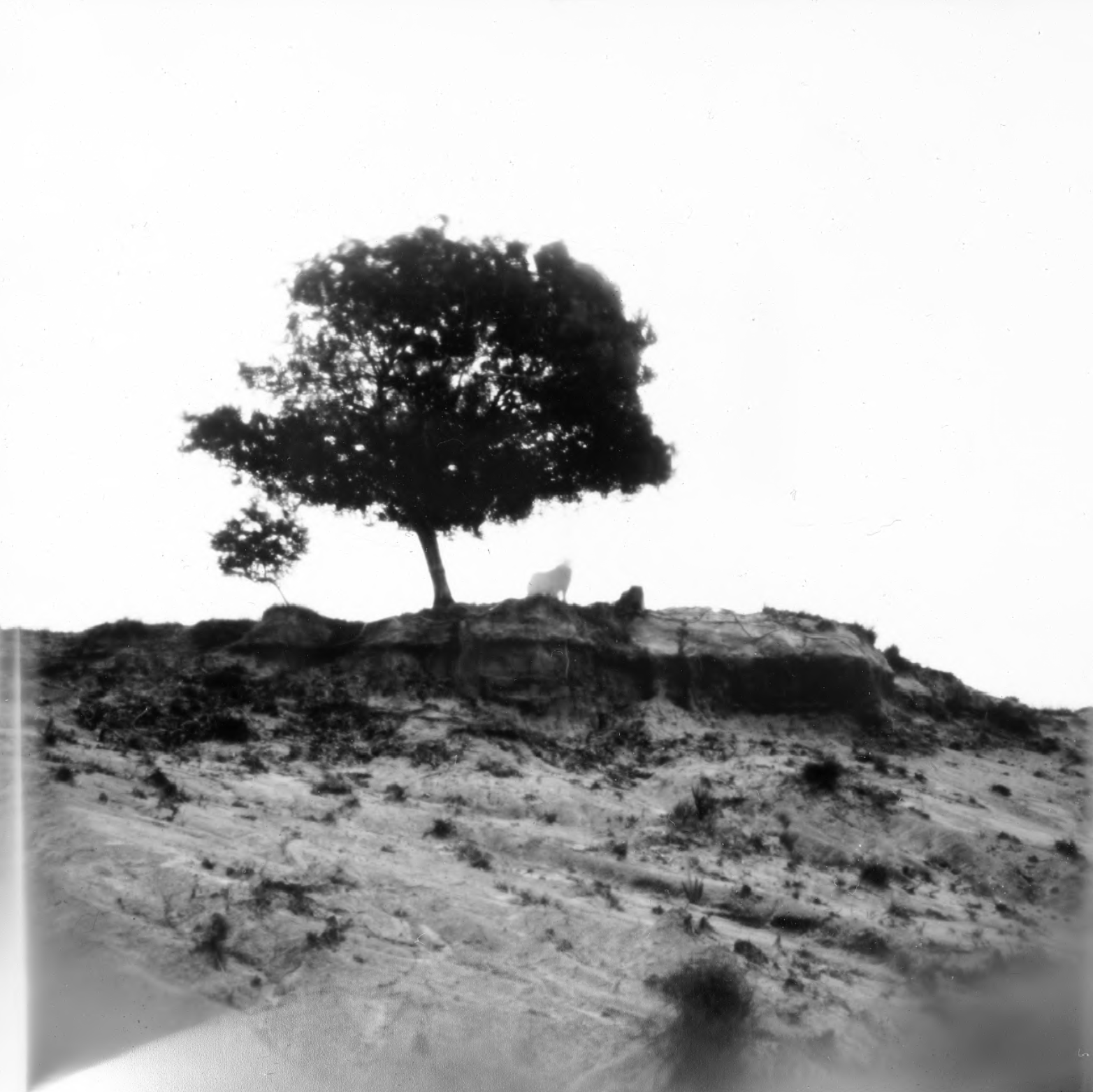 sin título de Francisca Etchegaray. Sín Título, Serie Origen, 2021
Técnica estenopéica fotografía analógica, tamaño original 10x10 cm